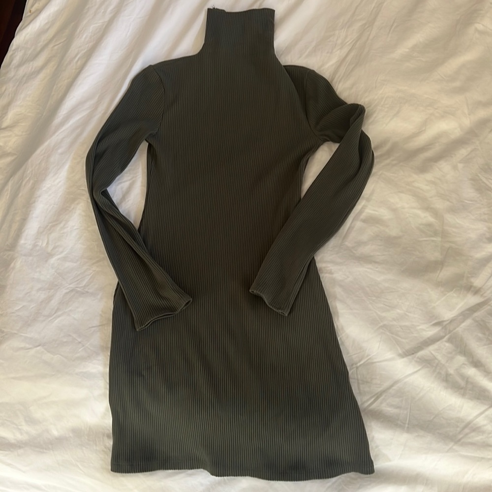 Reformation Long sleeve turtleneck mini dress